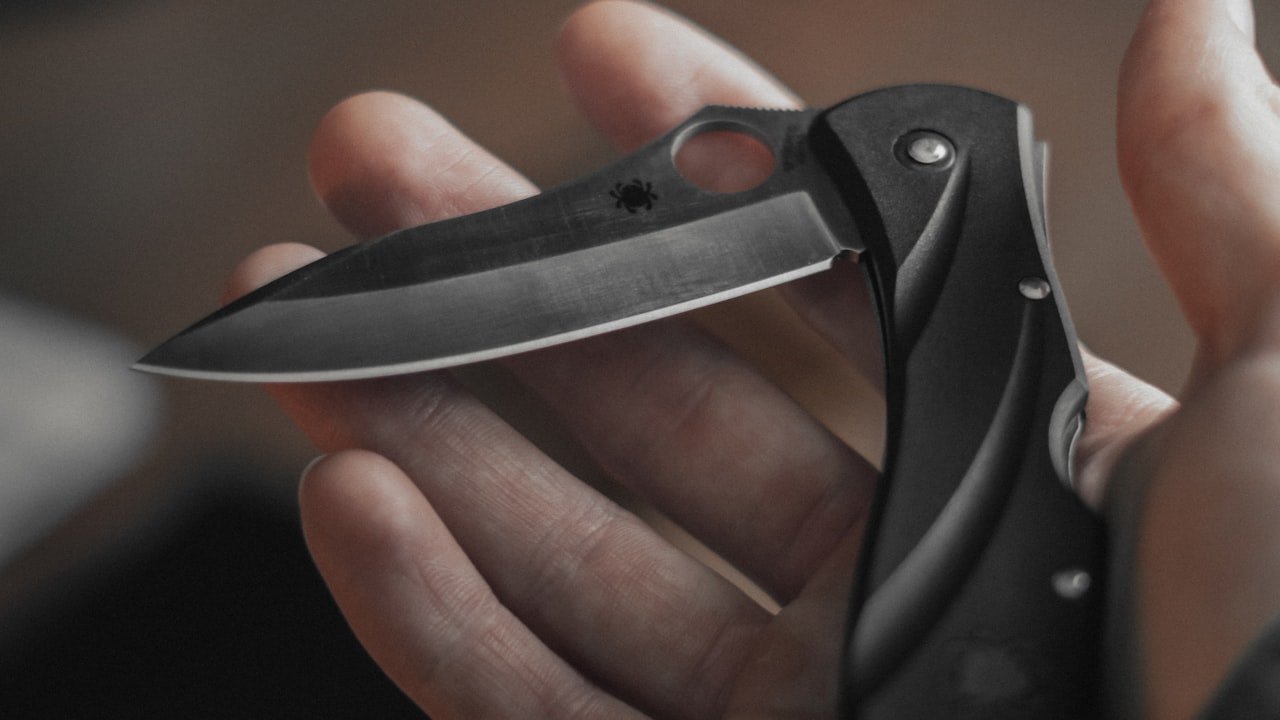 Excellent Performance with Paring Knives