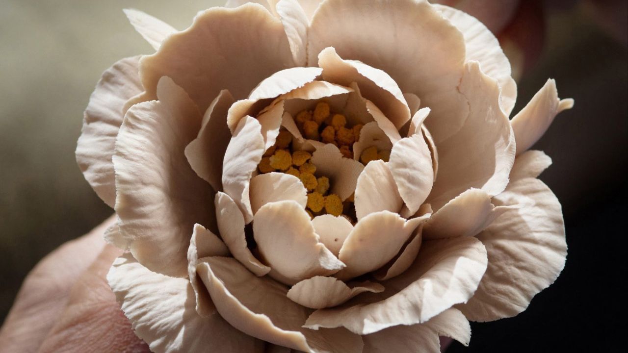 Blooming Serenity: How the Flower Diffuser Elevates Everyday Living