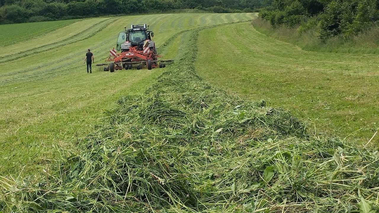 Why Flail Mower Hammer Blades Wear Faster on Rocky Pasture Than on Clean Grass