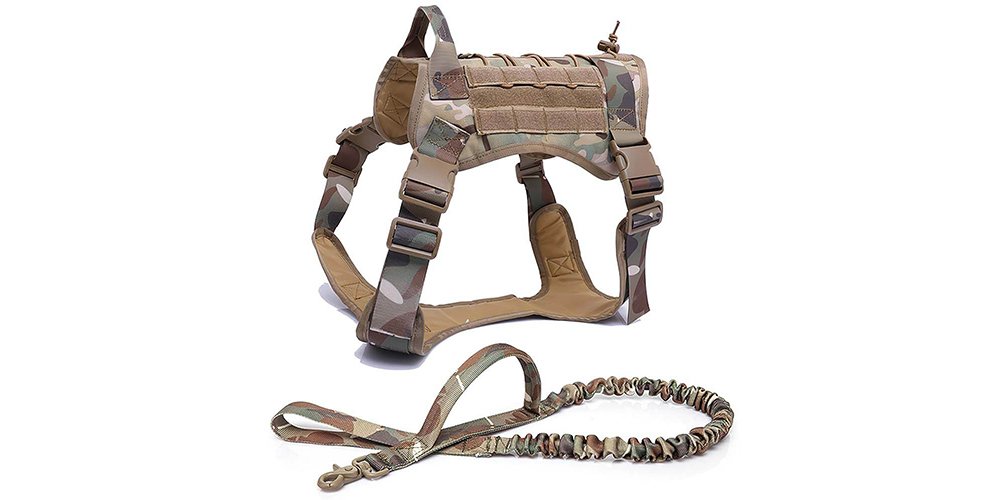 Top 5 Benefits of Wearing a Dog Harness