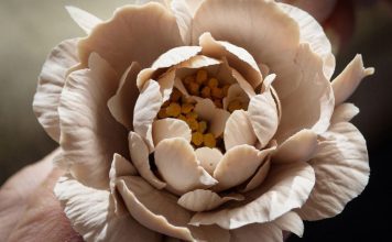 Blooming Serenity: How the Flower Diffuser Elevates Everyday Living